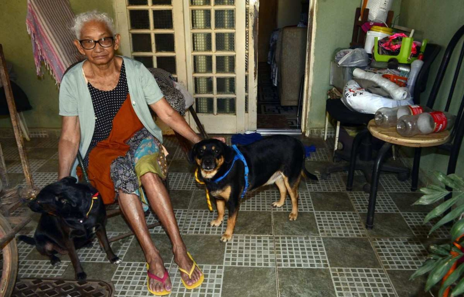 Máxima Campelo, 77, caminha todos os dias com os dois cães