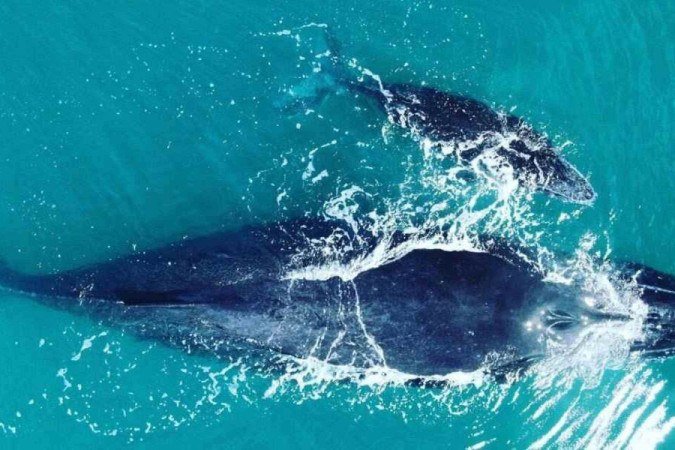 Turismo -Praia do Prado