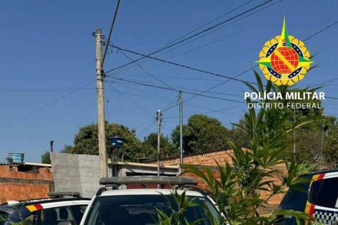 . - (crédito: Divulgação/PMDF) . - (crédito: Divulgação/PMDF)