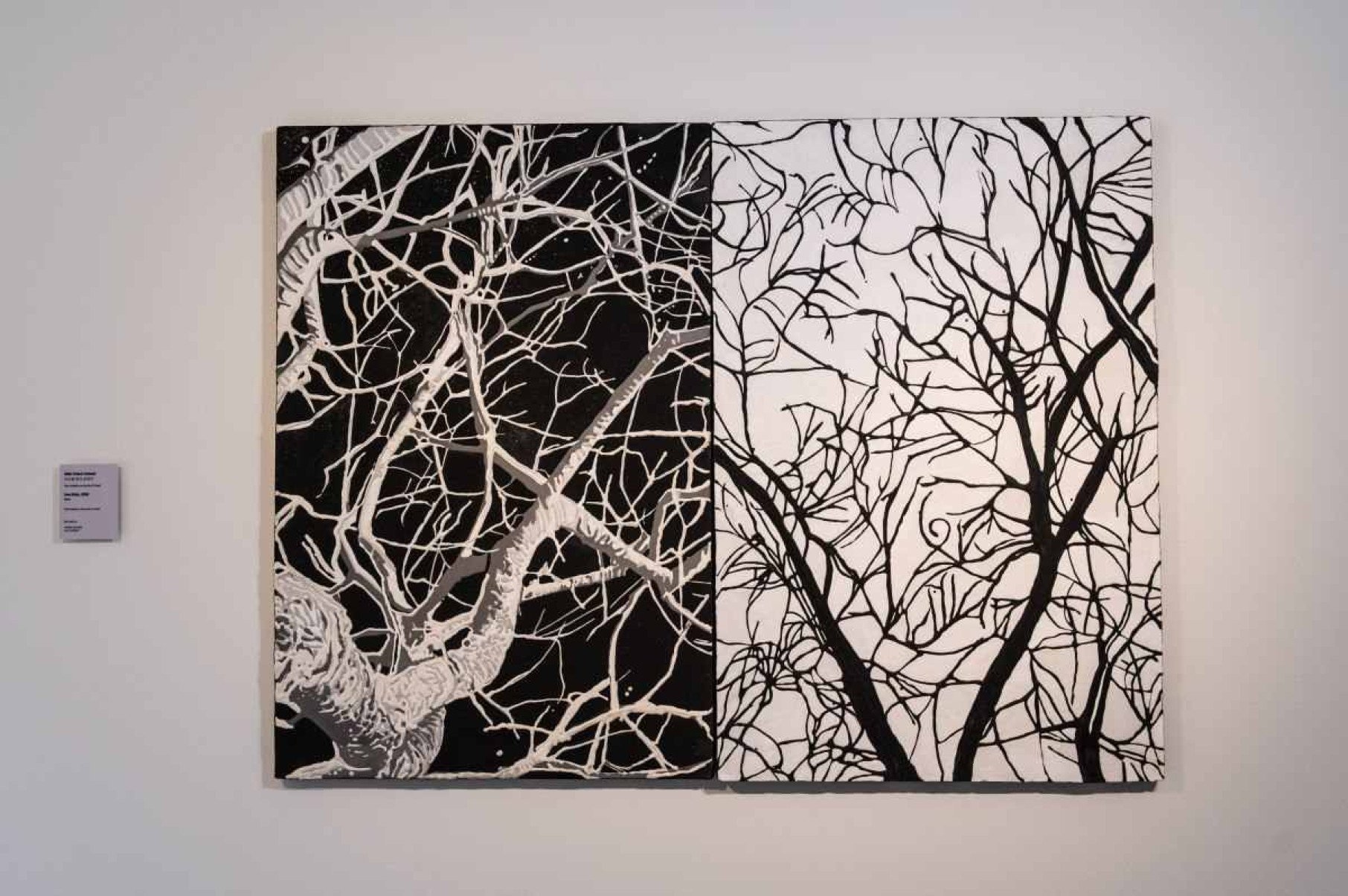 Mzyellow: Uma Sinfonia em Quatro Movimentos