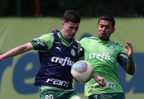 Foto: Cesar Greco/Palmeiras
