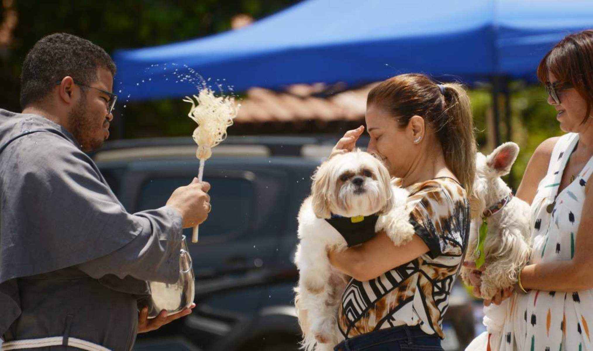 Festa do padroeiro dos animais reúne fiéis e bichos em santuário na Asa Norte