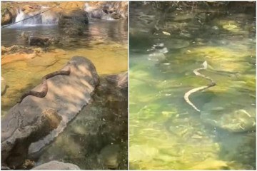 Jovem viu cobra em cachoeira do Entorno do DF -  (crédito: Reprodução/TikTok/@fonseca_kay)