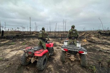 PF informou que está planejando realizar o envio de peritos especializados aos locais atingidos pelo fogo e utilizará tecnologias avançadas para identificar pontos de origem -  (crédito: PF/Divulgação)