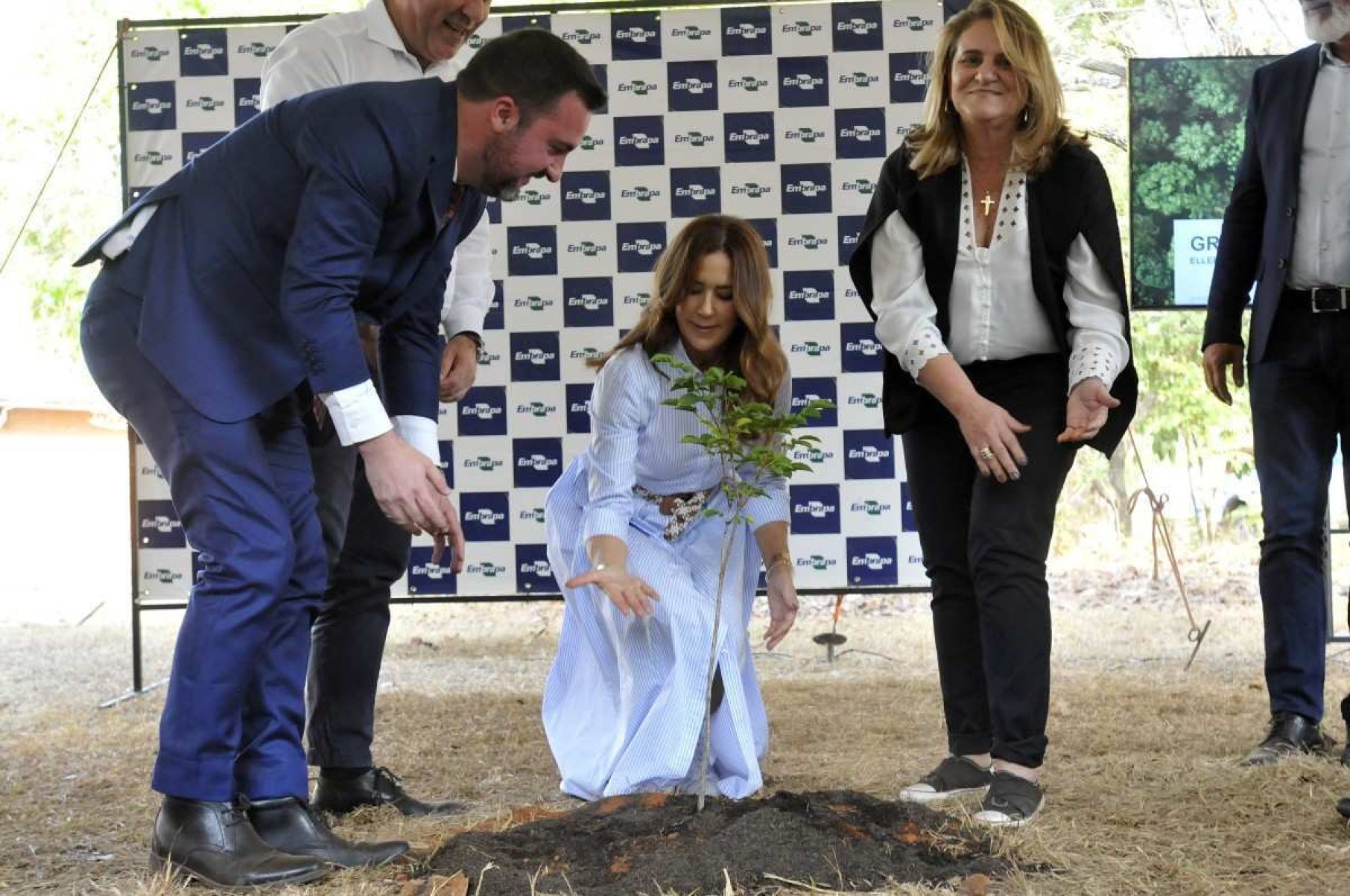  04/10/2024. Crédito: Minervino Júnior/CB/D.A Press. Brasil.  Brasilia - DF. Rainha da Dinamarca Mary, Visita a Embrapa Cerrados em Brasília. Rainha plantando muda de Ipê Amarelo.