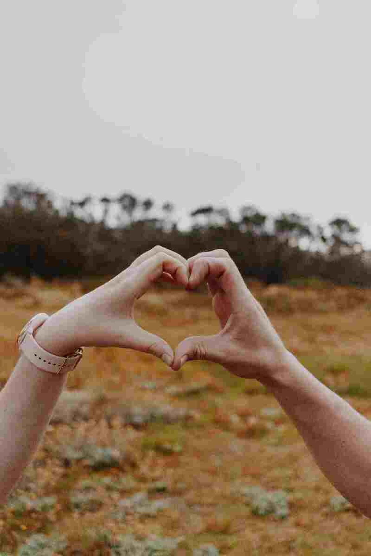 As perguntas que levam ao amor, de acordo com a ciência