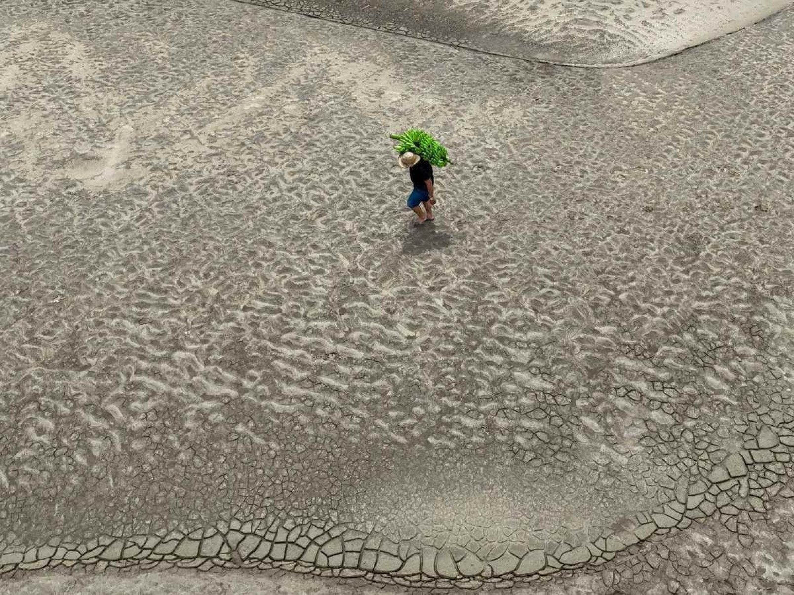  Aerial view of a riverbank dweller carrying banana produce over the dry Solimoes riverbed in the Pesqueiro community in Manacapuru, Amazonas state, northern Brazil, on September 30, 2024. Several tributaries of the Amazon River, one of the longest and most abundant in the world, are in a 