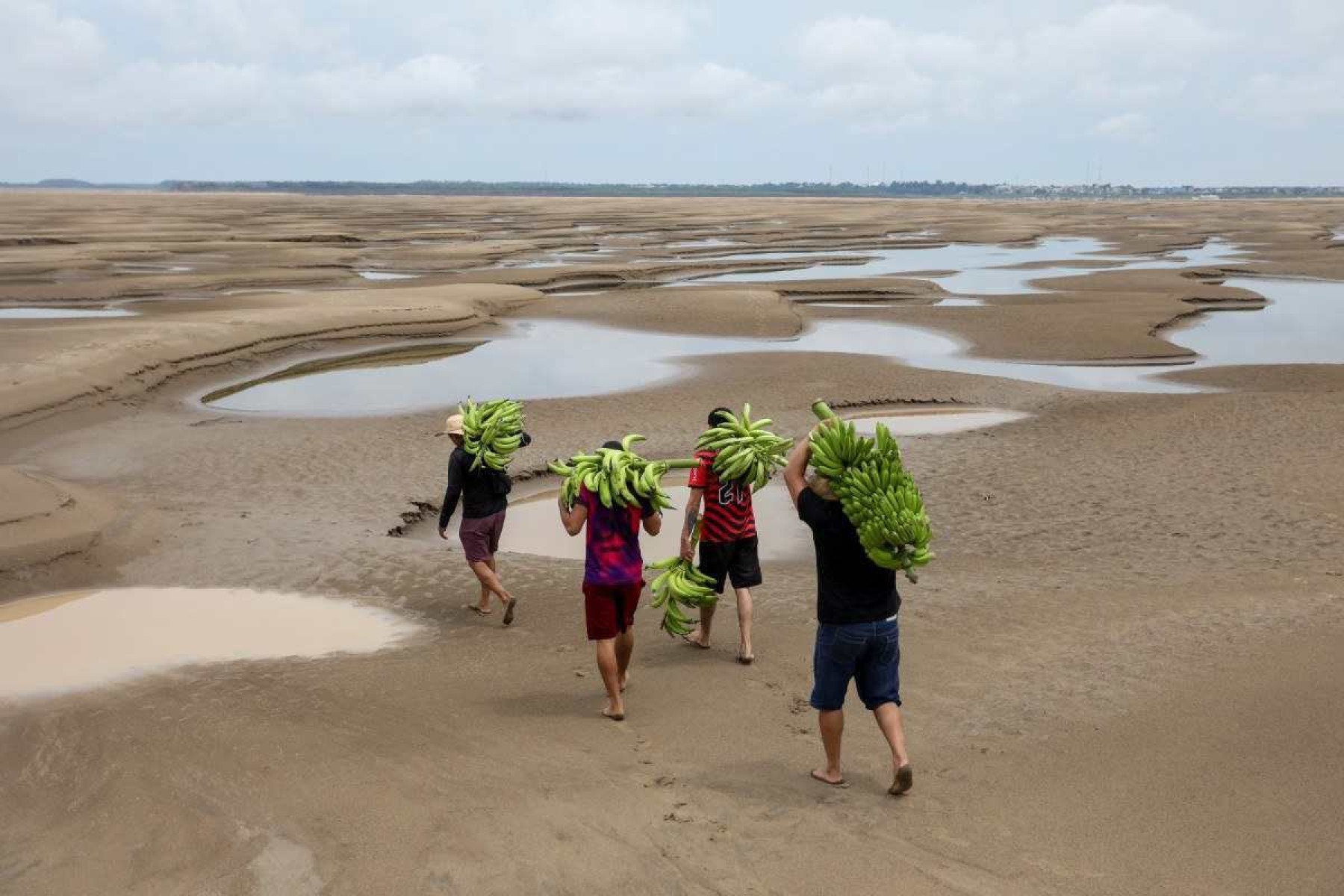     Vista aérea de ribeirinhos transportando produtos de banana sobre o leito seco do rio Solimões, na comunidade Pesqueiro, em Manacapuru, estado do Amazonas, norte do Brasil, em 30 de setembro de 2024. Vários afluentes do rio Amazonas, um dos mais longos e abundantes do mundo, estão em um 