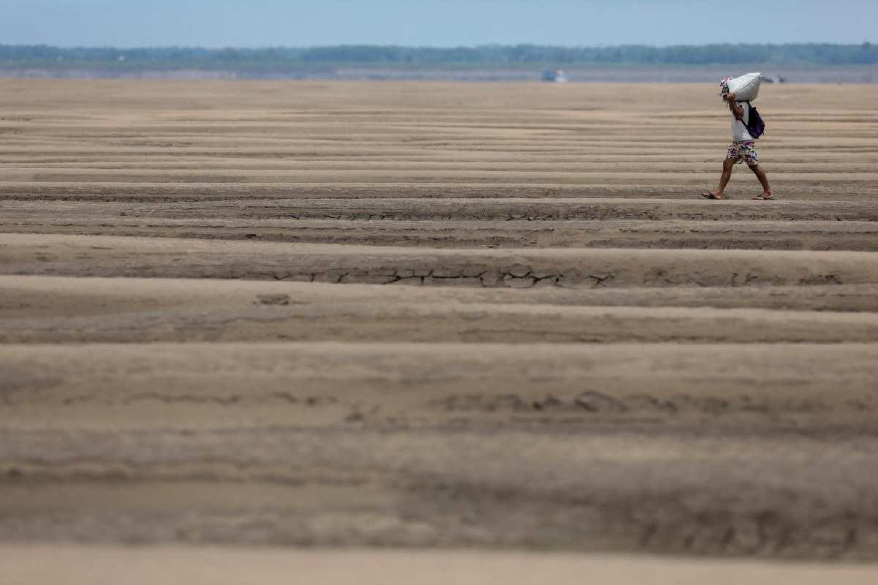  A river dweller walks on the dry bed of the Solimoes River, in the Pesqueiro Community, in Manacapuru, Amazonas state, northern Brazil, on September 30, 2024. Several tributaries of the Amazon River, one of the longest and most abundant in the world, are in a 