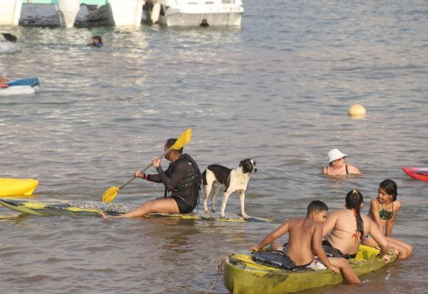 Brasília, 05.10.2024 - Calor em Brasília.  Movimentação de banhistas na orla do Lago Paranoá,  ao lado da Ponte JK. Foto: Luís Tajes -  (crédito:  LUIS TAJES)