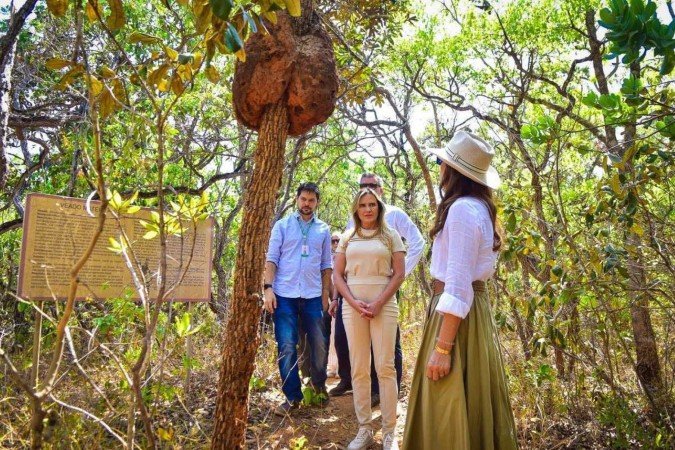Visita ao Jardim Botânico ocorreu na manhã deste sábado (5) - (crédito: George Gianni) Visita ao Jardim Botânico ocorreu na manhã deste sábado (5) - (crédito: George Gianni)