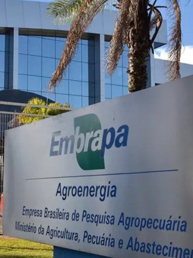 Embrapa mapeia regiões sob risco de novas pragas agrícolas