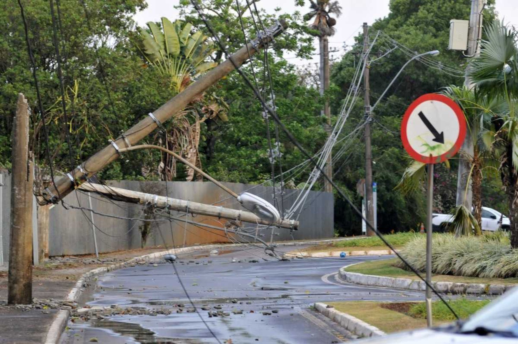  07/10/2024. Crédito: Minervino Júnior/CB/D.A Press. Brasil.  Brasilia - DF. Chuva em Brasília após longo período de seca. Árvores e postes caídos no Lago Norte.