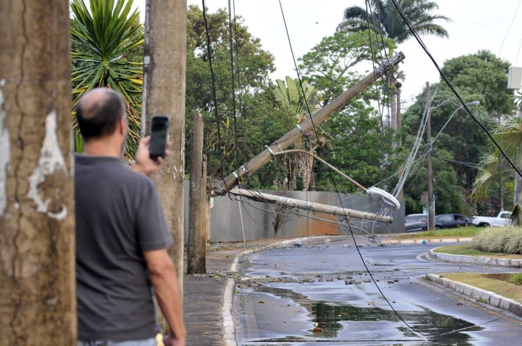  07/10/2024. Crédito: Minervino Júnior/CB/D.A Press. Brasil.  Brasilia - DF. Chuva em Brasília após longo período de seca. Árvores e postes caídos no Lago Norte.