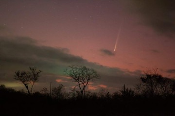 O cometa C/2023 A3 foi descoberto em janeiro de 2023 -  (crédito: Divulgação/ Observatório Nacional/Paulo Regis)