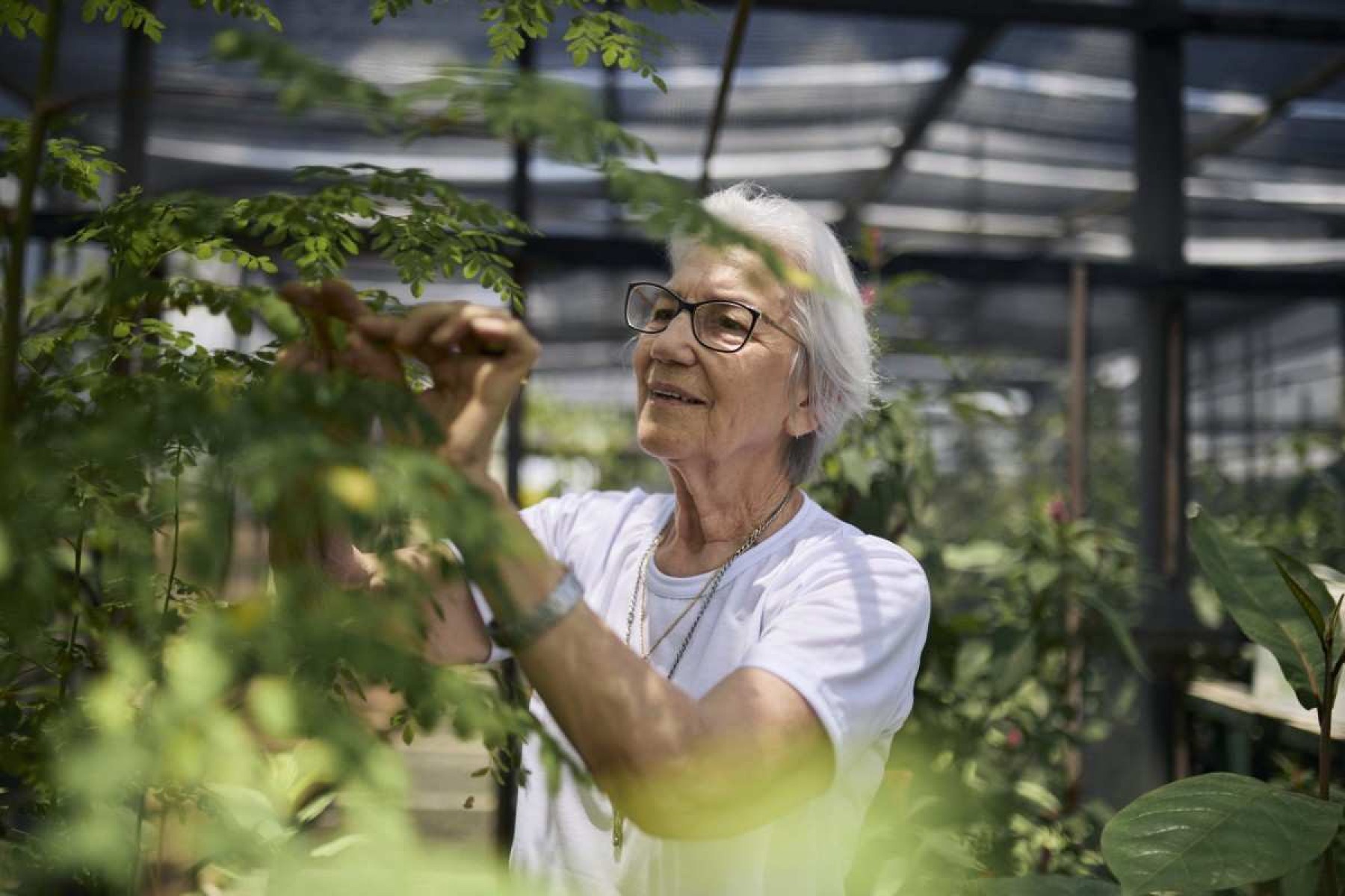  Irmã Rosita Milesi vencedora do Prêmio Nansen de 2024, concedido pela ONU