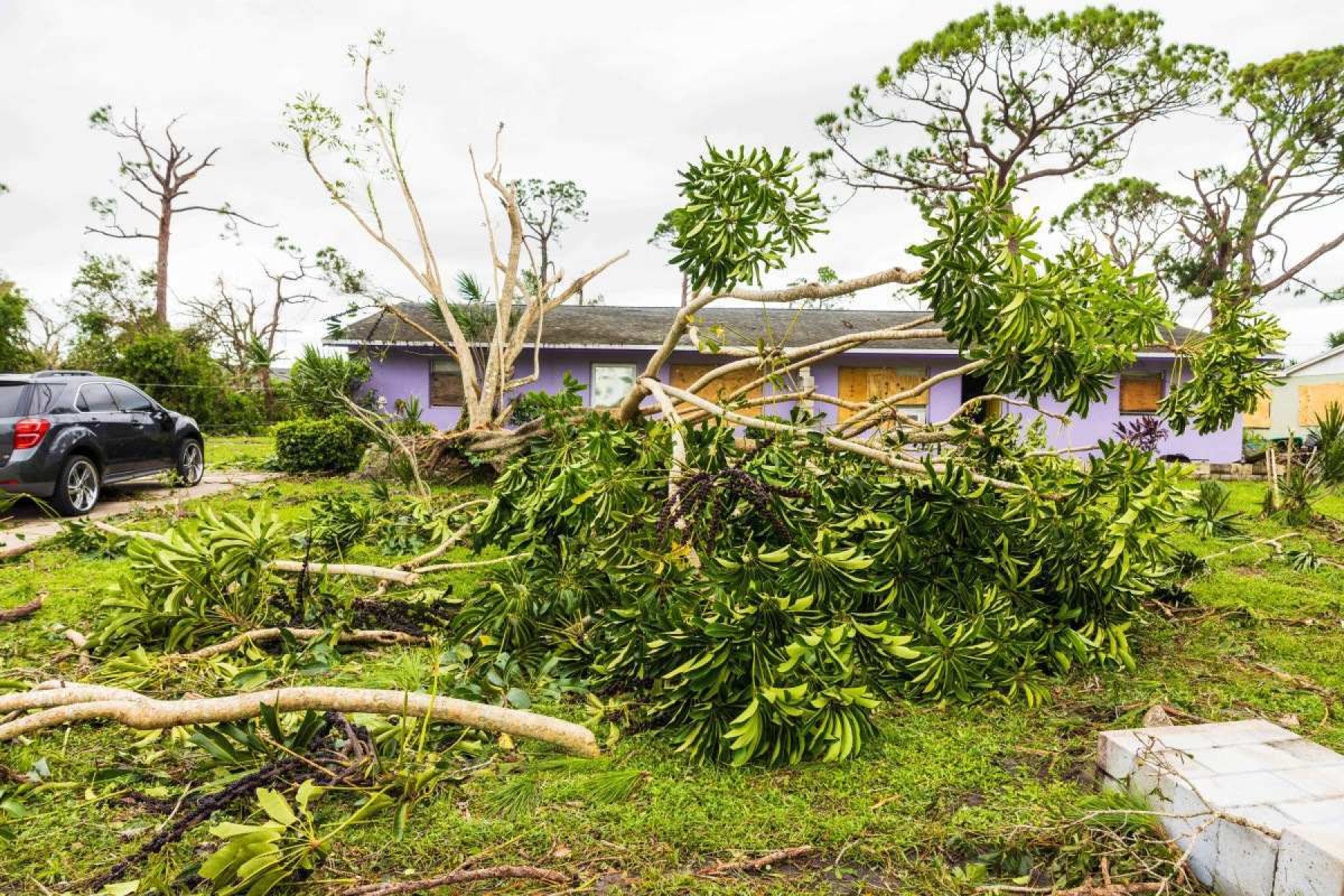 Destruição causada pelo furação Milton            