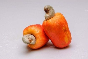 Aliado da imunidade e do intestino, o caju é destaque pela alta concentração de vitamina C e fibras. -  (crédito: Reprodução/Freepik)