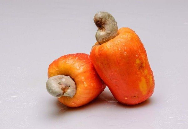 Reprodução/Freepik