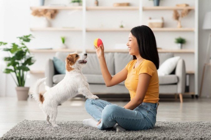 O reforço positivo pode beneficiar o cachorro e o tutor de diferentes maneiras (Imagem: Prostock-studio | Shutterstock) -  (crédito: EdiCase)