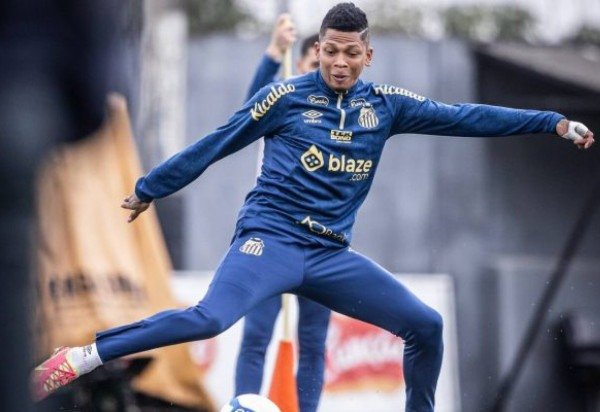 Foto: Raul Baretta/ Santos FC