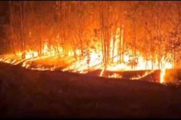 Segundo o Corpo de Bombeiros, diversos locais do estado foram atingidos por fogo na última semana -  (crédito: Divulgação/Corpo de Bombeiros do Piauí)