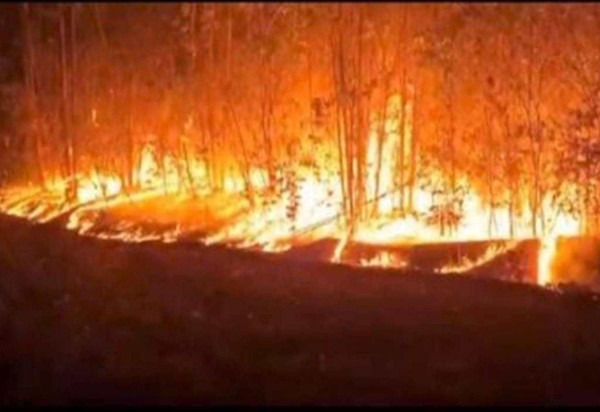 Divulgação/Corpo de Bombeiros do Piauí