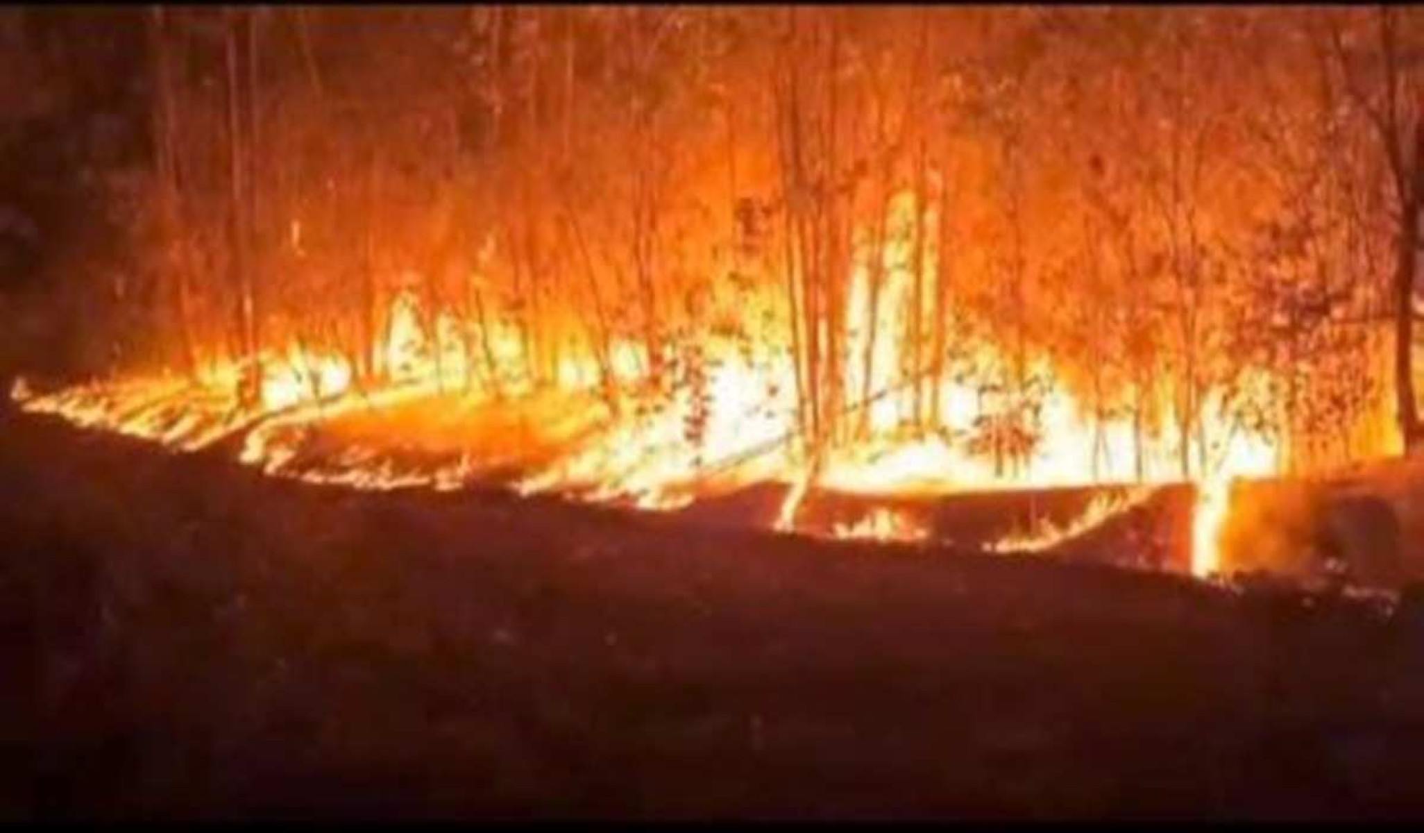 Quatro pessoas da mesma família morrem em incêndio no Piauí