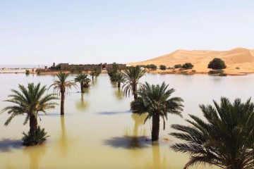 As chuvas causaram a formação de lagos no deserto do Saara -  (crédito: AP)