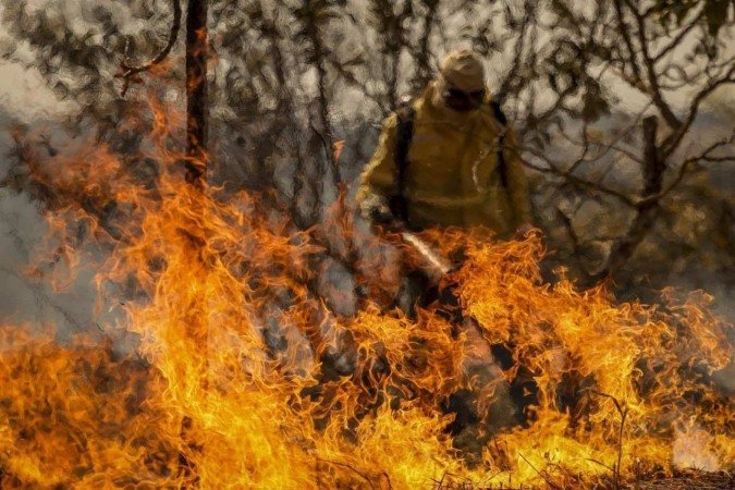 País viveu, entre agosto e setembro, uma onda de incêndios. Uma boa parte deles teve origem criminosa, segundo investigações de Polícia Federal - (crédito: Marcelo Camargo/Agência Brasil) País viveu, entre agosto e setembro, uma onda de incêndios. Uma boa parte deles teve origem criminosa, segundo investigações de Polícia Federal - (crédito: Marcelo Camargo/Agência Brasil)