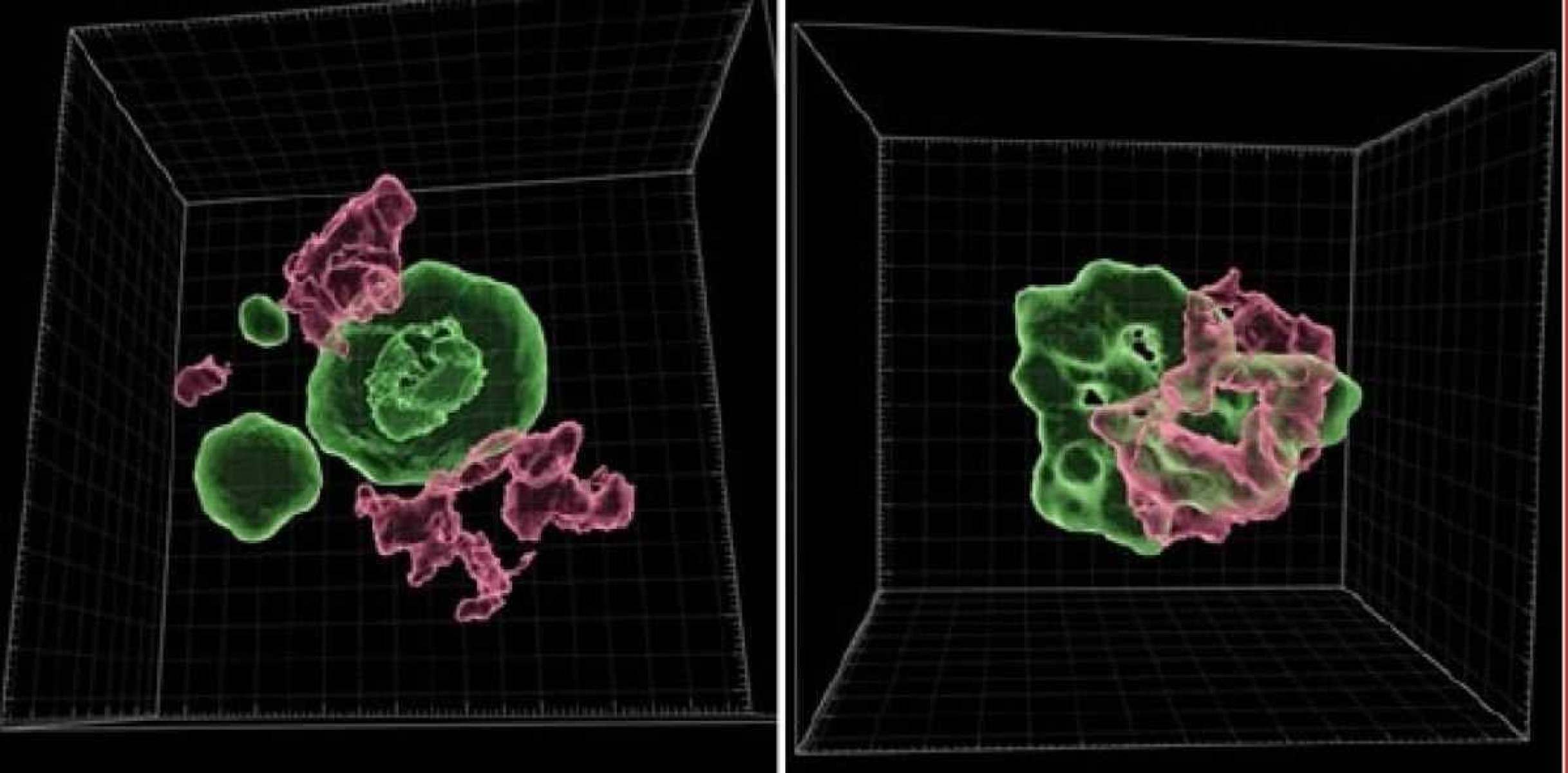 Moléculas essenciais ajudam a organizar o DNA