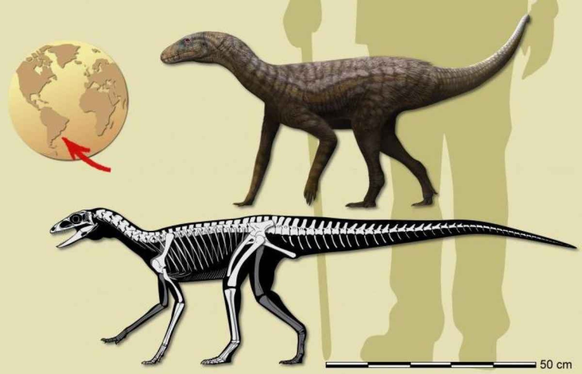 Animal mais antigo que os dinossauros é descoberto no Brasil