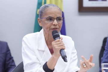 Em resposta a críticas dos deputados, Marina apontou que a LDO de 2024 não disponibilizou recursos suficientes para o combate às queimadas

 -  (crédito: Mario Agra/Câmara dos Deputados)