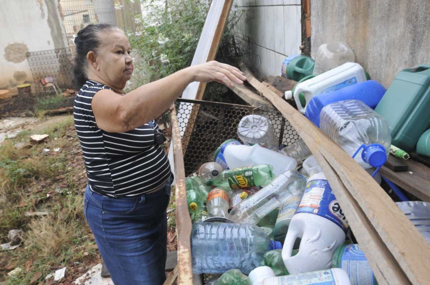 Dengue: governo e população destacam ações para combater o mosquito