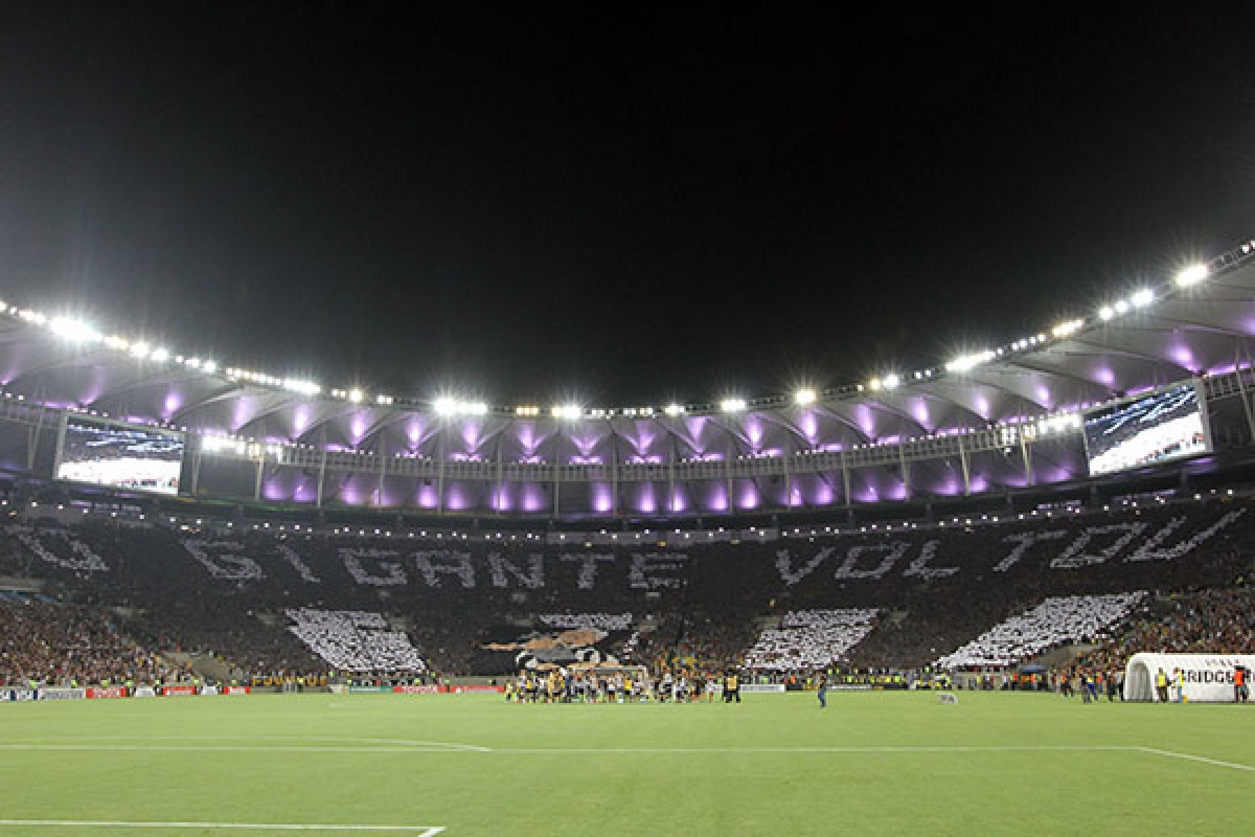  Torcida. Botafogo x Deportivo Quito pela Copa Libertadores da America, no Maracana. 05 de fevereiro de 2014, Rio de Janeiro, RJ, Brasil. Foto: Vitor Silva/SSPress.
     -  (crédito:  Vitor Silva / SSPress)