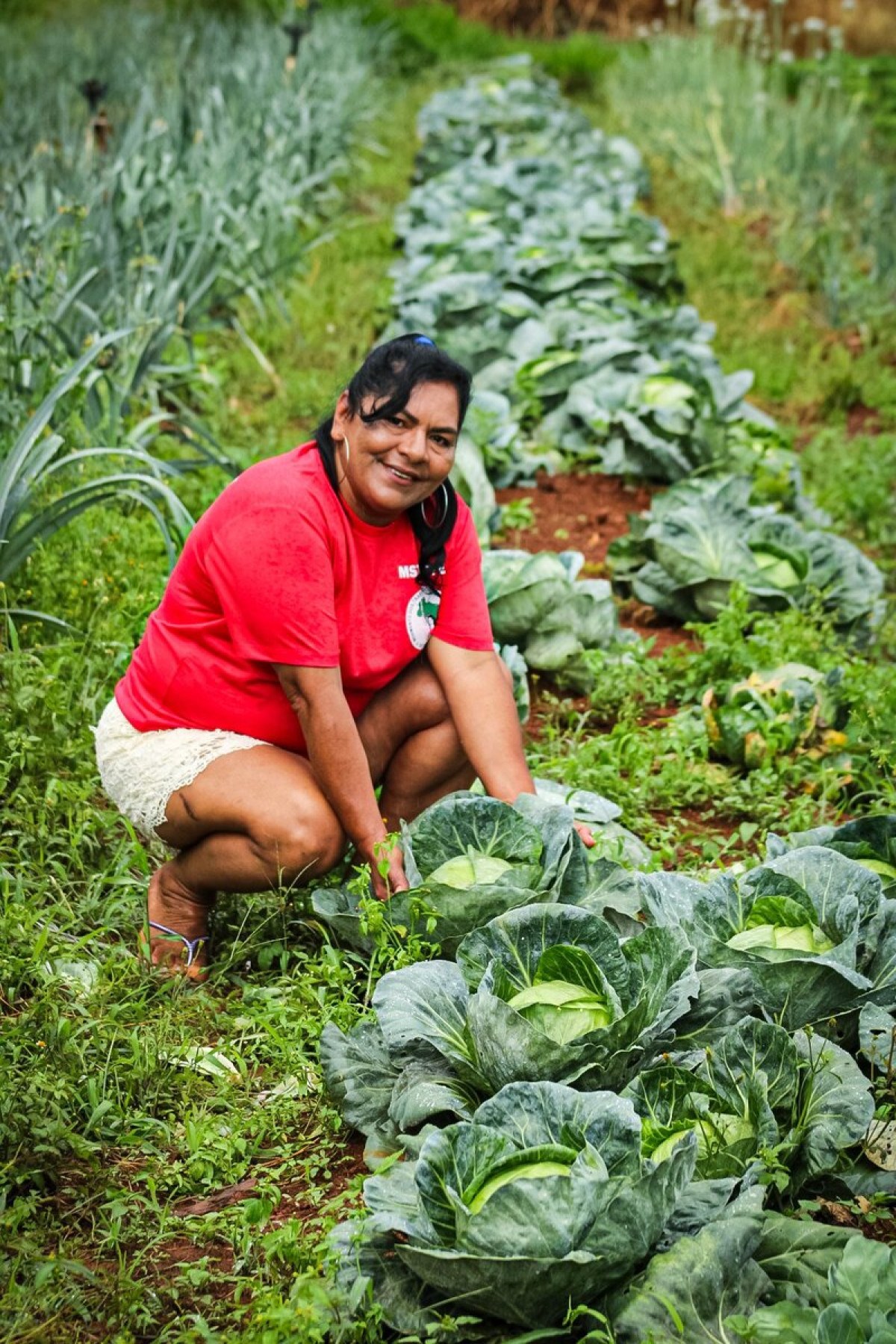 Tânia Aguiar cultiva hortaliças no assentamento Canaã, em Brazlândia: 