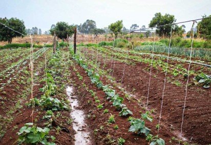 As inscrições deverão ser efetuadas exclusivamente de forma eletrônica, por meio do portal oficial da Sedet-DF, entre esta segunda-feira (13/4) e 22/4 -  (crédito:  Kayo Magalhães/CB/D.A Press) -As inscrições deverão ser efetuadas exclusivamente de forma eletrônica, por meio do portal oficial da Sedet-DF, entre esta segunda-feira (13/4) e 22/4 -  (crédito:  Kayo Magalhães/CB/D.A Press)