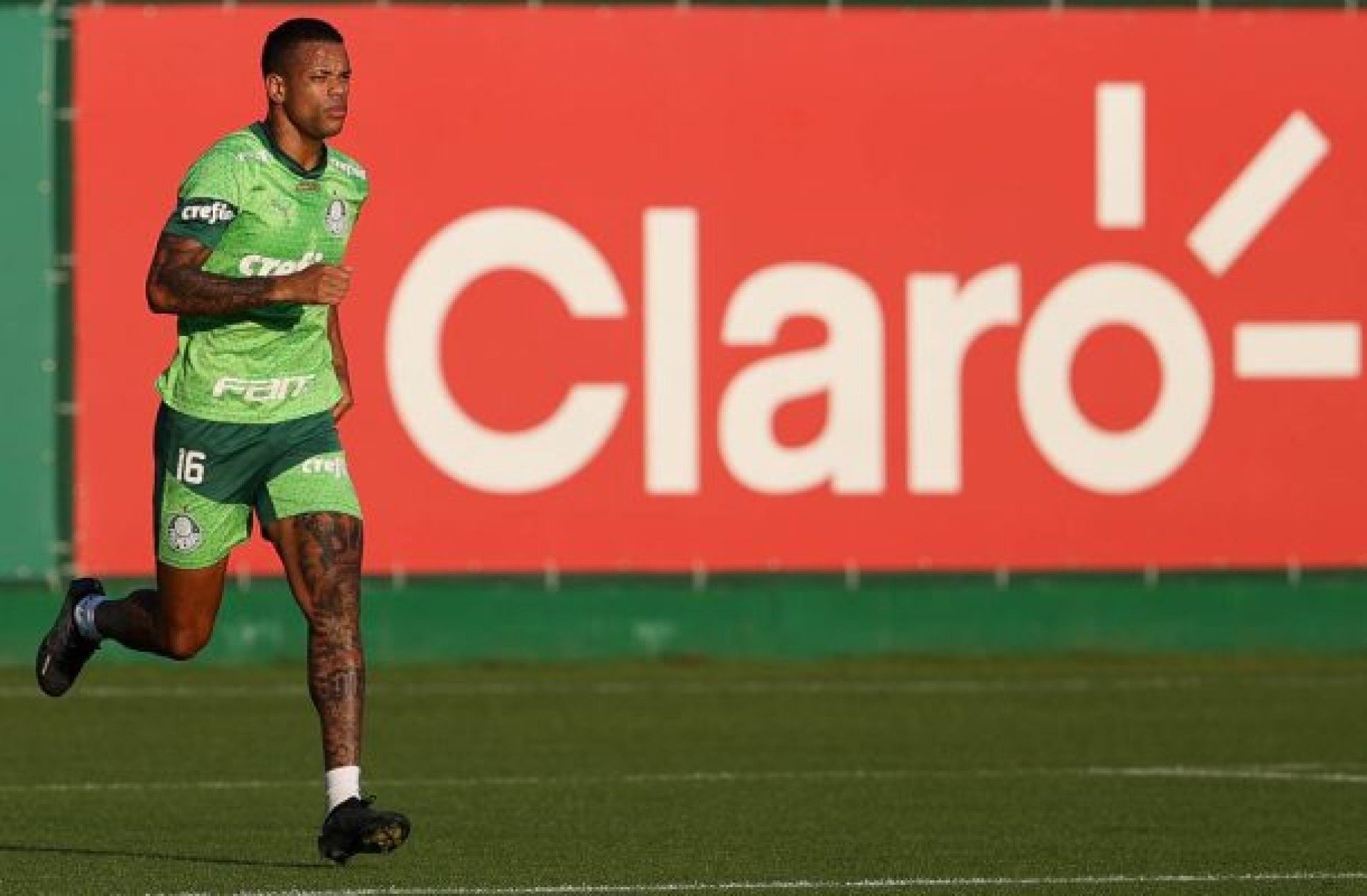 Caio Paulista é absolvido no STJD e pode defender o Palmeiras no Brasileiro
