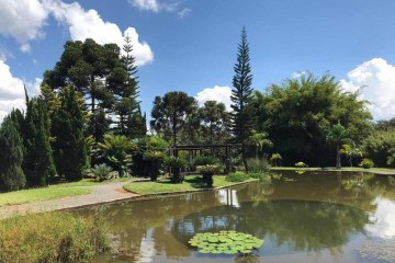 Parques, jardins, canteiros, telhados verdes e paredes naturais podem diminuir em até 5ºC o calor nas áreas muito habitadas -  (crédito: Agência Brasília)