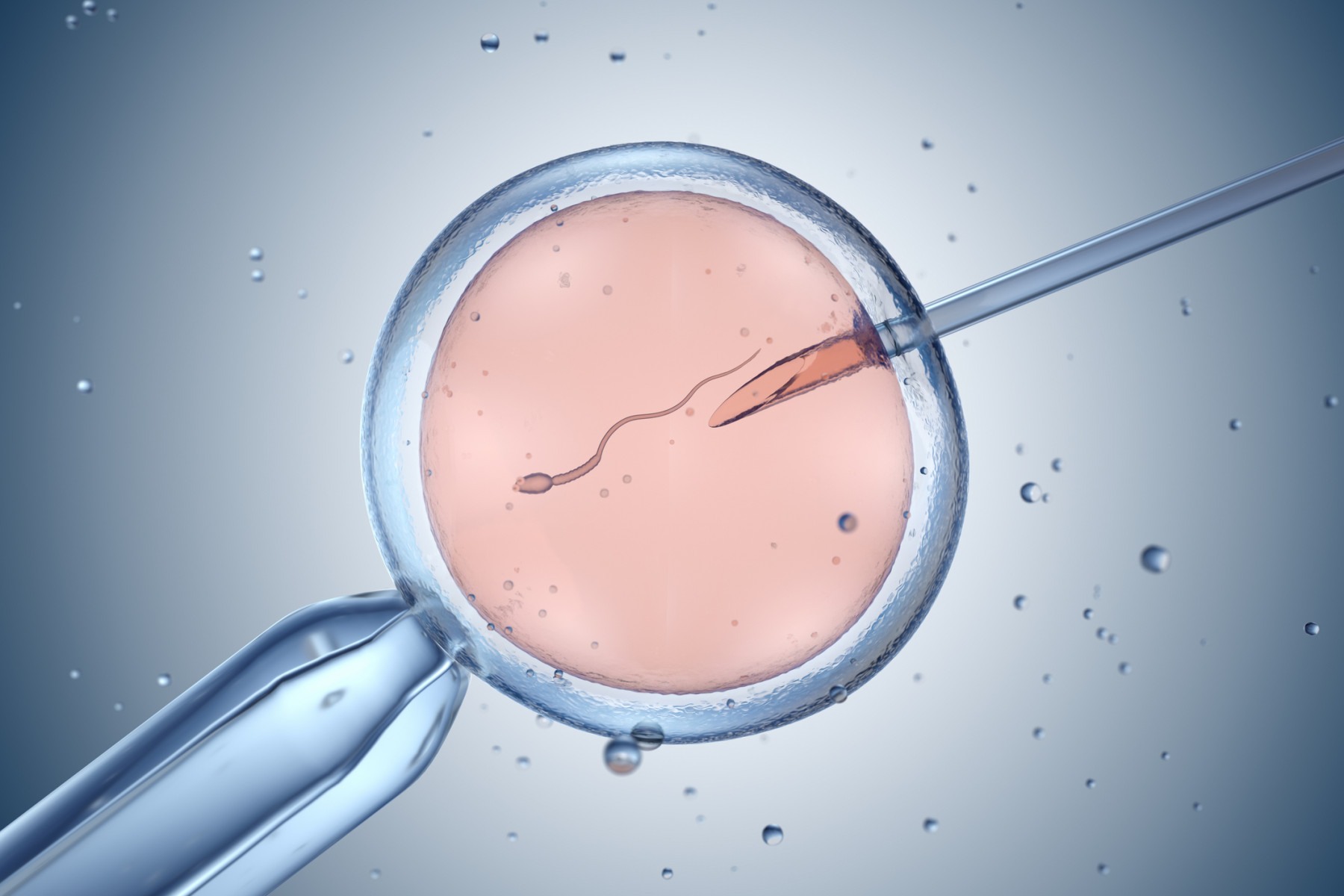  Artificial insemination or in vitro fertilization. 3D illustration
     -  (crédito:  Getty Images)