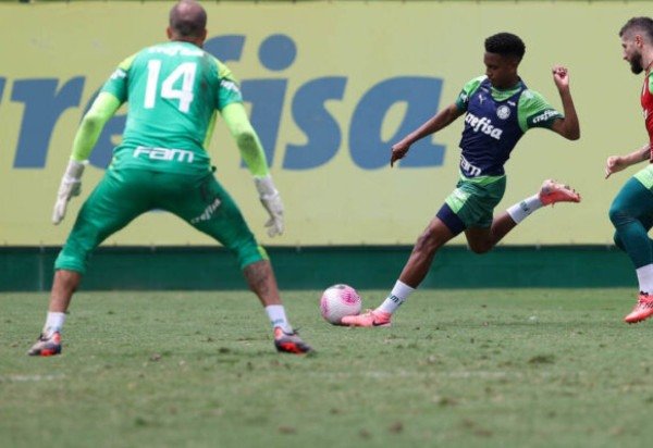Foto: Cesar Greco/Palmeiras