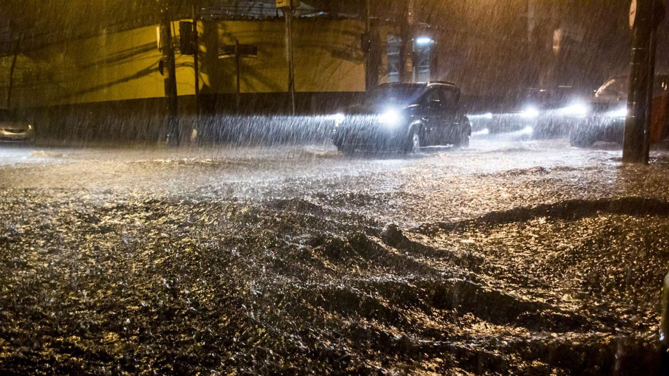 Quedas de árvores são algumas das consequências de fortes chuvas  -  (crédito: Getty Images)