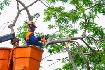 Os serviços devem durar cinco horas e devem ser finalizados às 14h, de acordo com a Neoenergia -  (crédito: Divulgação/Agência Brasília)