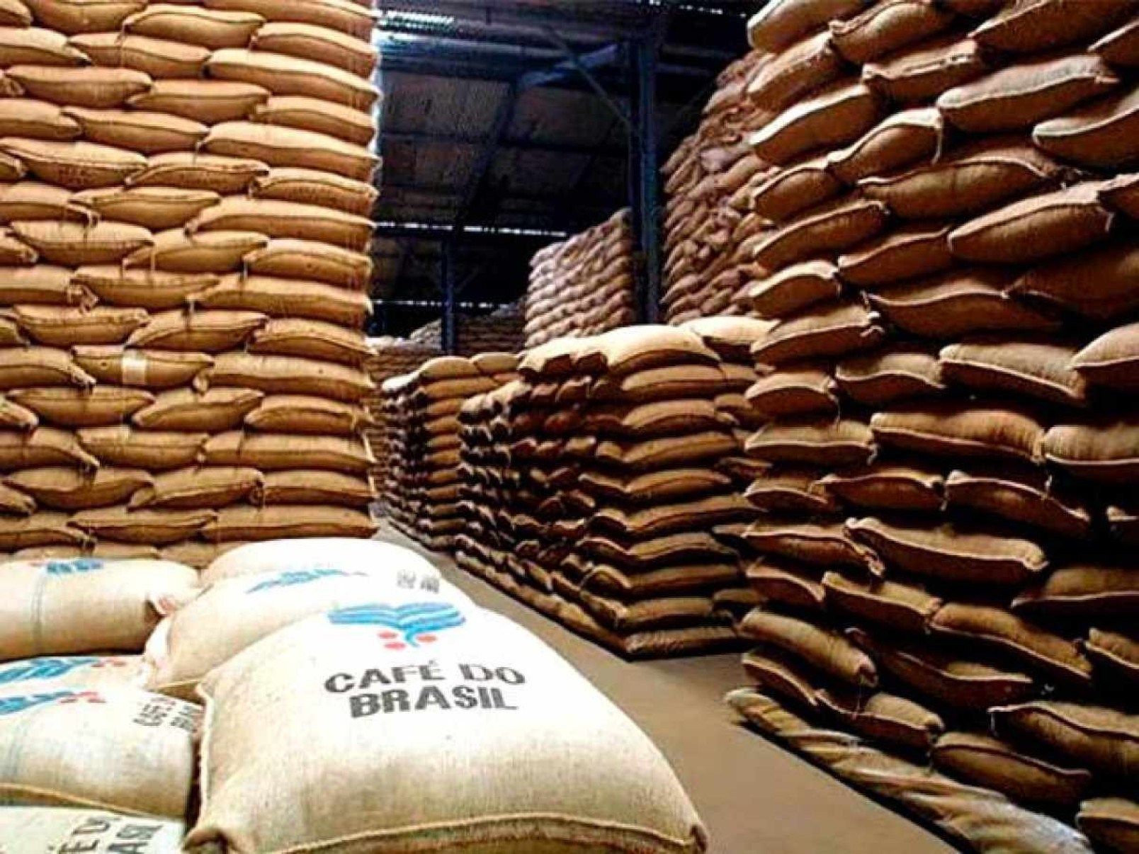 Brasil bate recorde de exportação de café em 2024 com a venda de 46,4 milhões de sacas