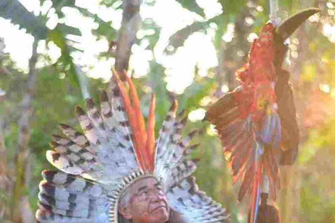 Álvaro Tukano, liderança na luta pela causa indígena