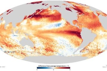 Agência dos EUA confirmou a formação do fenômeno e estima mais de 60% de chances de chuvas muito fortes entre novembro deste ano e janeiro de 2027 - (crédito: NOAA) Agência dos EUA confirmou a formação do fenômeno e estima mais de 60% de chances de chuvas muito fortes entre novembro deste ano e janeiro de 2027 - (crédito: NOAA)