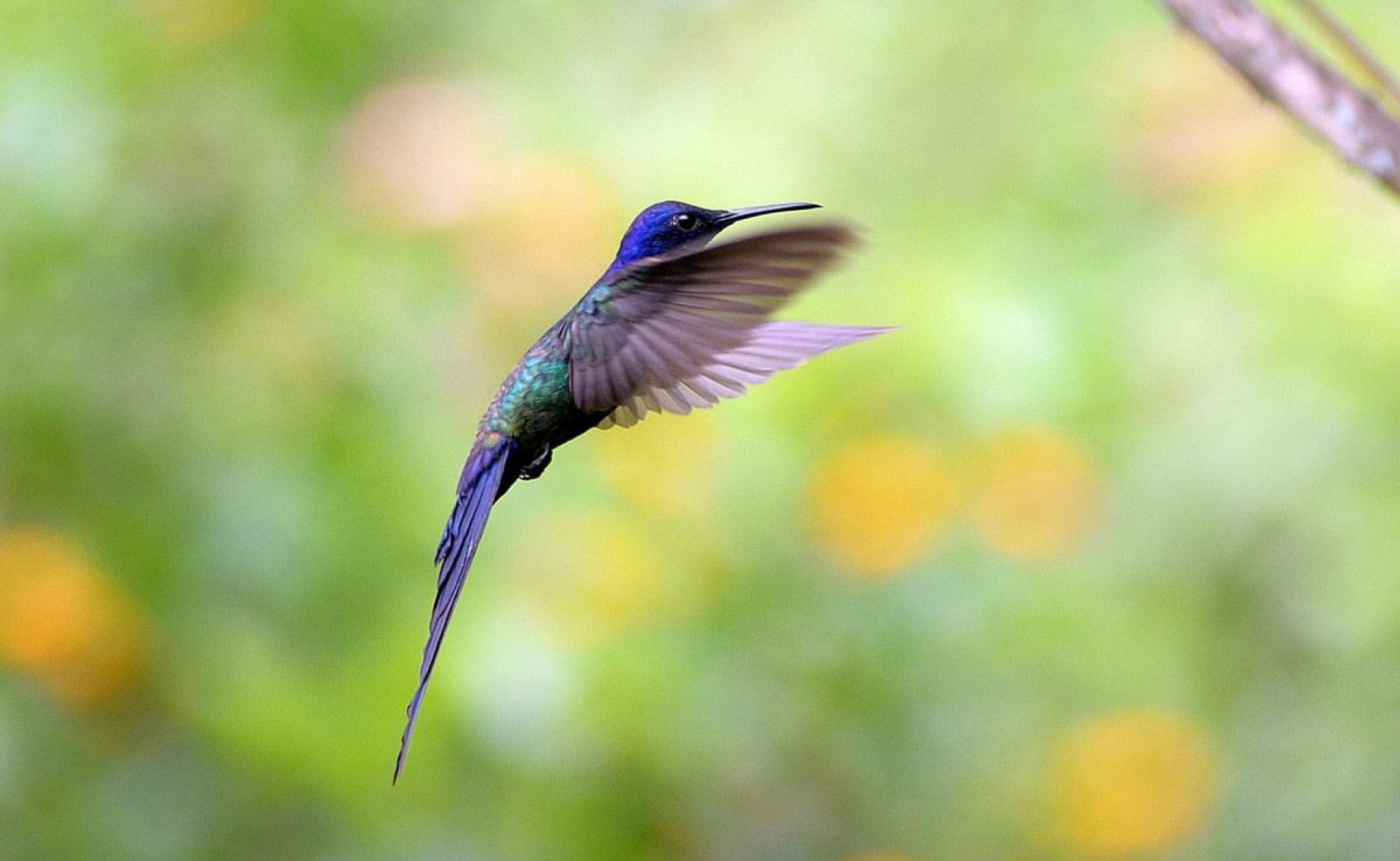 Das belezas ao redor! Brasília oferece opções de diversão na natureza