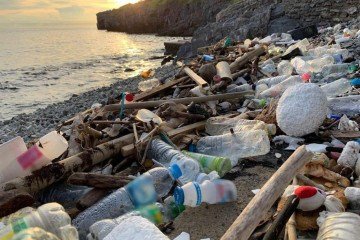 Segundo estudo do IF Goiano, 70% das praias brasileiras está poluídas com microplásticos - (crédito: Kyushu University/Isobe lab) Segundo estudo do IF Goiano, 70% das praias brasileiras está poluídas com microplásticos - (crédito: Kyushu University/Isobe lab)