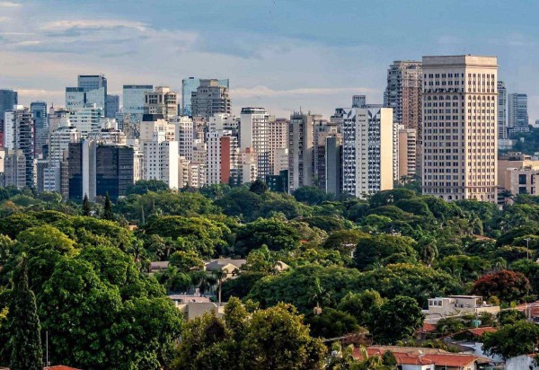 Mapeamento Digital da Cobertura Vegetal do Município de  São Paulo/Reprodução