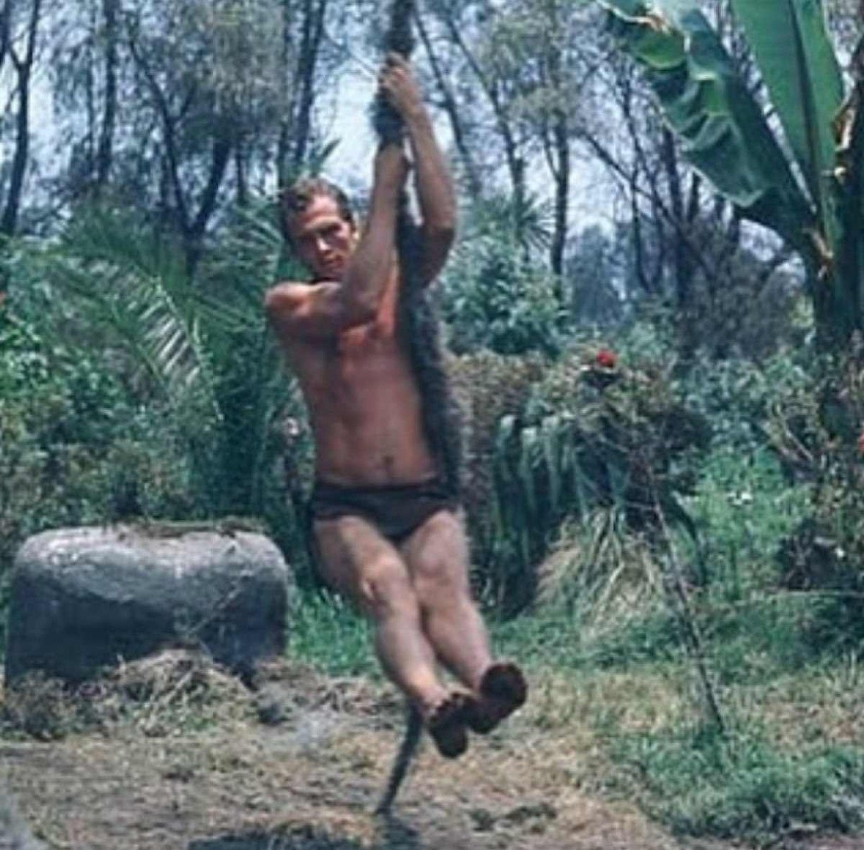 Além de duas temporadas de Tarzan, Ron Ely também atuou nas séries Mulher Maravilha e a Ilha da Fantasia. Já nos anos 90 e 2000, Ron Ely participou nas gravações de Superman e Expecting Amish. Além da carreira nas artes cênicas, ele escreveu dois livros de romance policial tendo como protagonista o detetive Jake Sands: Night Shadows (1994) e East Beach (1995).